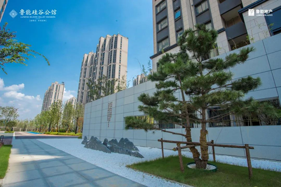 鲁能硅谷公馆户型图